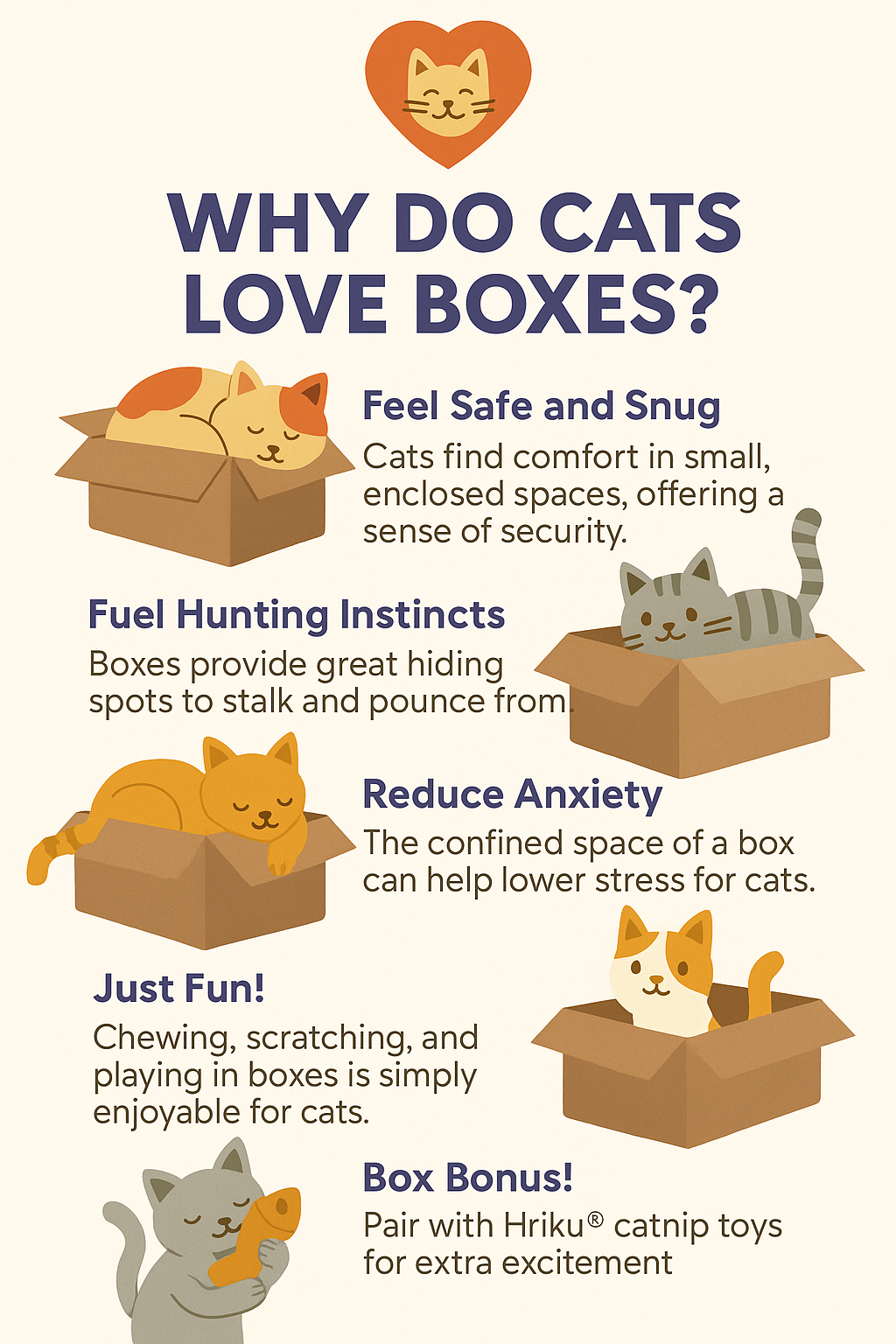 Cat playing in a box with HRIKU toy